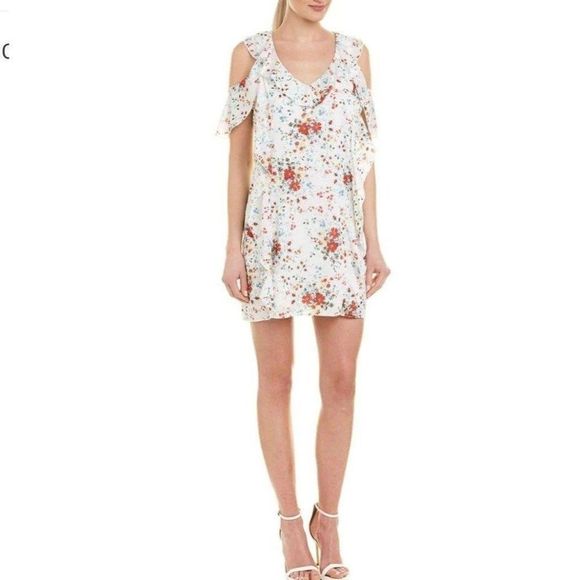 Parker White Spring Ditsy Floral Ruffle Mini Dress - Picture 1 of 10